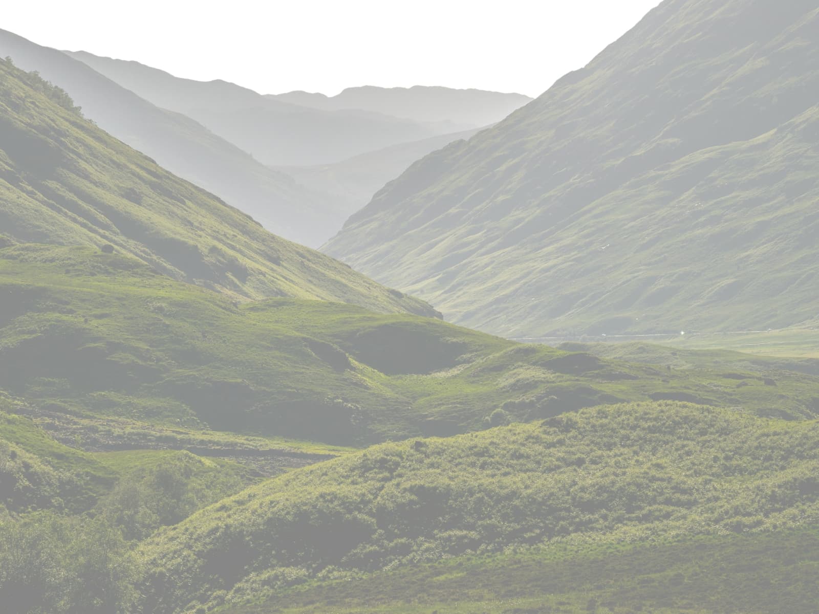 Highland landscape behind the weekly brief sign-up section